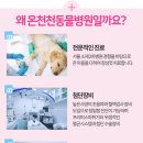 온천동물병원 이미지