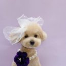 흥부공인중개사사무소 이미지