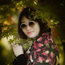 마로니에3 이미지