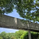 호국로111 | 🌿 양주 카페 추천! 자연 속 힐링을 만끽한 헤세의 정원