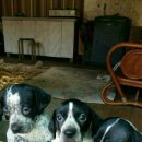 신계농장 이미지