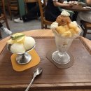 수원-0810 | 250804-0810 일상