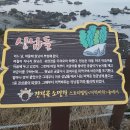 햇비 산악회 2017, 해파랑길 2,000리-간절곶 소망길 이미지