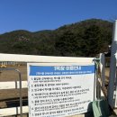 동이목장 | 겨울 남해 여행 애견동반 아이와 가볼만한곳 양떼목장 양마르뜨언덕 방문 후기