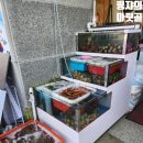선옥회수산
