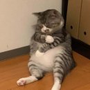 제민당한의원 이미지