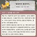 꿀강아지 이미지
