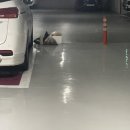 생초할인마트 이미지