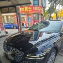 오토상사 | 시흥썬팅 칼트윈 레이노 솔라가드 티벡스 오토상사 후기, G80 썬팅 너무 만족스러워요~!