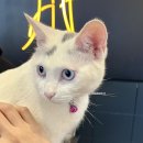 신천목욕탕 | 🇰🇷홍천 1박2일 부모님 단풍 여행 추천🍁, 11월 - 힐리언스 선마을 정원동 후기