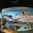제주인장례