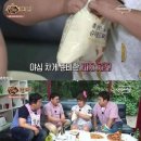 돼지새끼 이미지