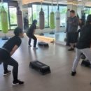 복싱그자체 이미지