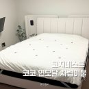 레노마홈코지네스트일산점 | 코지네스트 이불 모달 코코 차렵이불 내돈내산 후기