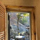 라온애견펜션 이미지