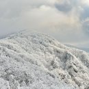 현도주유소 이미지