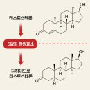 이오한의원 | 전립선카페 후기 ,한의학 박사가 말해주는 진짜 이야기