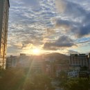 1173 | 돈암서원과 코스모스 (1173)