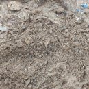 대농농약사 이미지