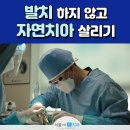 안치과 이미지