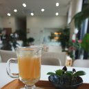 손빚 이미지