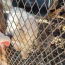 사항농장 이미지