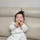숲소리 악기세트 후기(내돈내산)