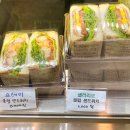 샐러리오 네이버블로그