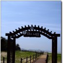 솔숲과 바다 이미지