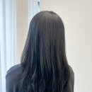 아리솔 | 잠실미용실 추천 어뉴헤어 송파잠실점 아리솔 디자이너 톤다운 염색 후기