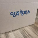 1월 앙쥬맘박스(출산맘박스 24차) 당첨 및 언박싱 후기💛