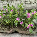 평화이용원 이미지