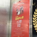 비바음악학원 이미지