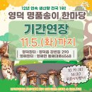 화개리 군민운동장 이미지