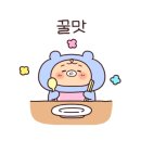 도토리피크닉 이미지