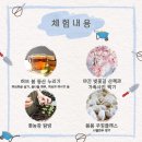 사계절 봄봄 네이버블로그