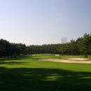 스파피닉스 이미지