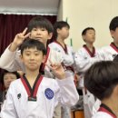 금메달 태권도 이미지