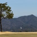 월송리CC 골프연습장 이미지