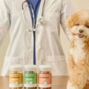 닥터랄랄라 이미지