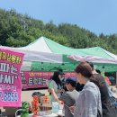 로파