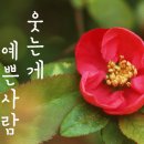 반려동물 아로마 테라피 자격증 네이버블로그