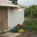 어 타이니 리틀피스 이미지