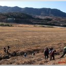 신안면 신안리 - 39 | 신안면 신안리