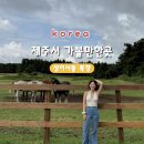 이시돌목장 | [제주시 가볼만한곳] 성이시돌 목장 방문 후기 (말, 카페, 우유, 시간, 주차)
