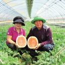 이석농장 이미지