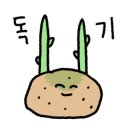 살롱드쁘와 이미지