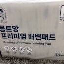 몽트앙