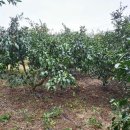 서귀포시노인복지회관 이미지