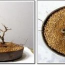 (주)나무그룹 이미지